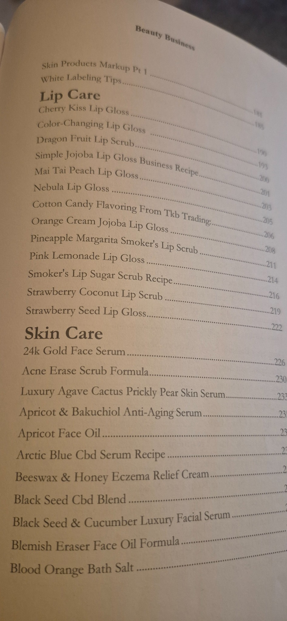Look inside The Beauty Business Blueprint table of contents photo
